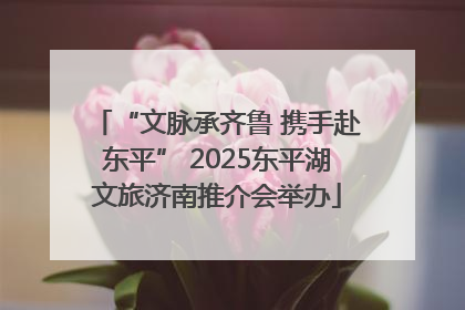 “文脉承齐鲁 携手赴东平” 2025东平湖文旅济南推介会举办