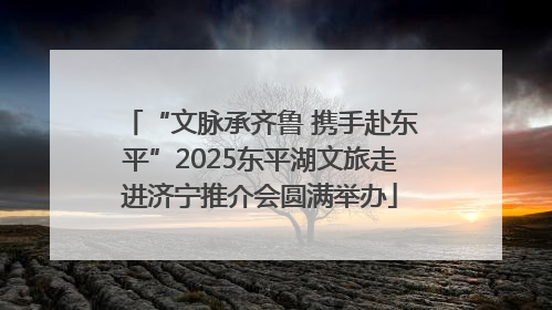 “文脉承齐鲁 携手赴东平”2025东平湖文旅走进济宁推介会圆满举办