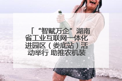 “智赋万企”湖南省工业互联网一体化进园区（娄底站）活动举行 助推农机装备产业高质量发展