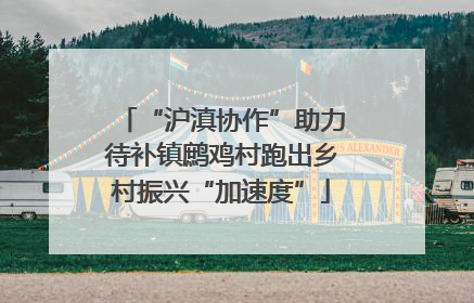 “沪滇协作”助力待补镇鹧鸡村跑出乡村振兴“加速度”