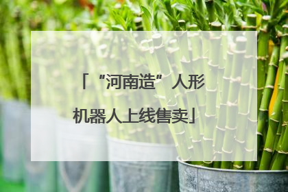 “河南造”人形机器人上线售卖