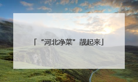 “河北净菜”靓起来