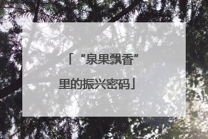 “泉果飘香”里的振兴密码