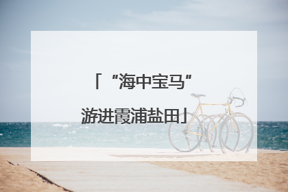 “海中宝马”游进霞浦盐田