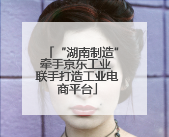 “湖南制造”牵手京东工业 联手打造工业电商平台