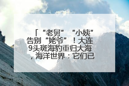 “老舅”“小姨”告别“姥爷”！大连9头斑海豹重归大海，海洋世界：它们已具备野外生存能力