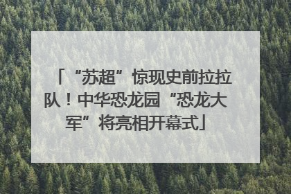 “苏超”惊现史前拉拉队！中华恐龙园“恐龙大军”将亮相开幕式