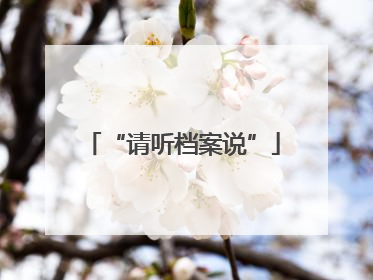 “请听档案说”