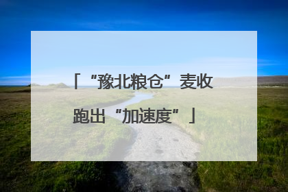 “豫北粮仓”麦收跑出“加速度”