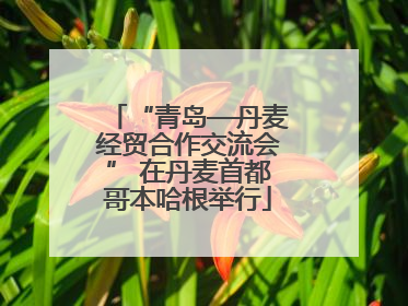 “青岛—丹麦经贸合作交流会” 在丹麦首都哥本哈根举行