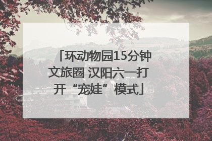 环动物园15分钟文旅圈 汉阳六一打开“宠娃”模式