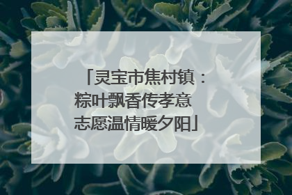 灵宝市焦村镇：粽叶飘香传孝意 志愿温情暖夕阳