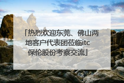 热烈欢迎东莞、佛山两地客户代表团莅临itc保伦股份考察交流