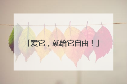 爱它，就给它自由！