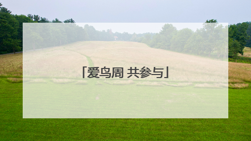 爱鸟周 共参与