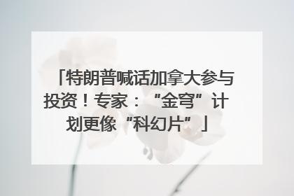 特朗普喊话加拿大参与投资！专家：“金穹”计划更像“科幻片”