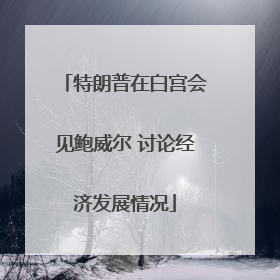 特朗普在白宫会见鲍威尔 讨论经济发展情况