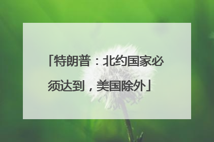 特朗普：北约国家必须达到，美国除外