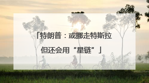 特朗普：或挪走特斯拉 但还会用“星链”