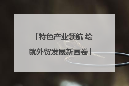 特色产业领航 绘就外贸发展新画卷