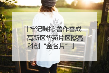 牢记嘱托 善作善成｜高新区华苑片区擦亮科创“金名片”