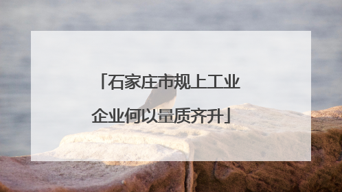 石家庄市规上工业企业何以量质齐升