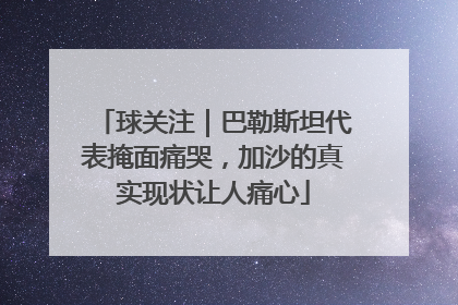 球关注｜巴勒斯坦代表掩面痛哭，加沙的真实现状让人痛心