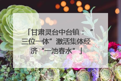 甘肃灵台中台镇：“三位一体”激活集体经济“一池春水”