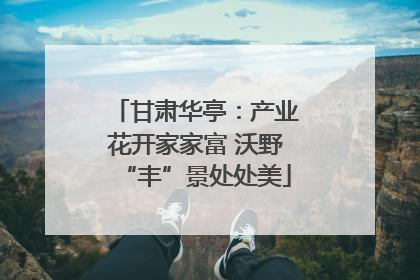 甘肃华亭：产业花开家家富 沃野“丰”景处处美