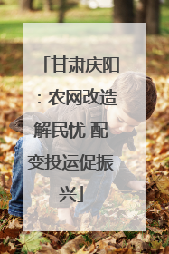 甘肃庆阳：农网改造解民忧 配变投运促振兴
