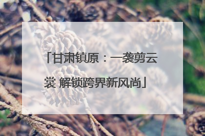 甘肃镇原：一袭剪云裳 解锁跨界新风尚
