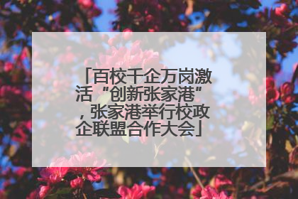 百校千企万岗激活“创新张家港”，张家港举行校政企联盟合作大会