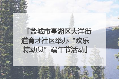 盐城市亭湖区大洋街道育才社区举办“欢乐粽动员”端午节活动