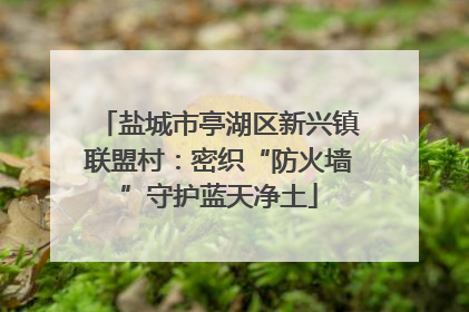 盐城市亭湖区新兴镇联盟村：密织“防火墙”守护蓝天净土