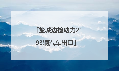 盐城边检助力2193辆汽车出口