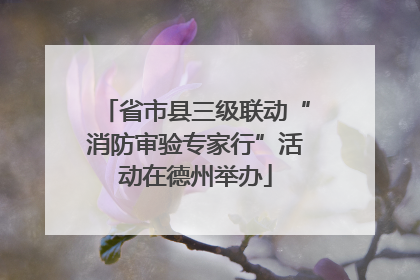 省市县三级联动“消防审验专家行”活动在德州举办