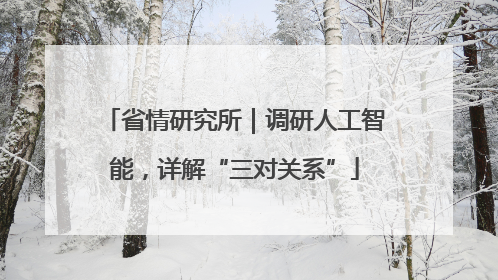 省情研究所｜调研人工智能，详解“三对关系”