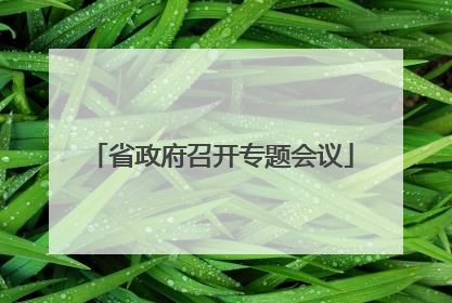 省政府召开专题会议