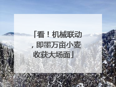 看！机械联动，即墨万亩小麦收获大场面