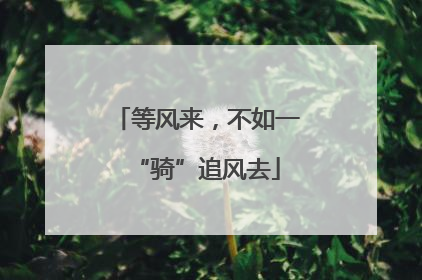 等风来，不如一“骑”追风去