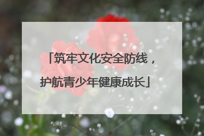 筑牢文化安全防线，护航青少年健康成长