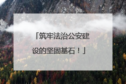 筑牢法治公安建设的坚固基石！