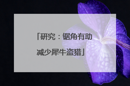 研究：锯角有助减少犀牛盗猎