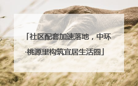 社区配套加速落地，中环·桃源里构筑宜居生活圈