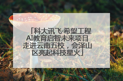 科大讯飞·希望工程AI教育启智未来项目走进云南五校，会泽山区亮起科技星火