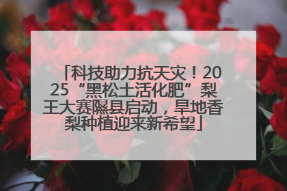 科技助力抗天灾！2025“黑松土活化肥”梨王大赛隰县启动，旱地香梨种植迎来新希望