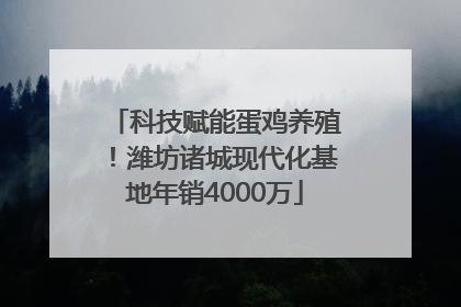 科技赋能蛋鸡养殖！潍坊诸城现代化基地年销4000万