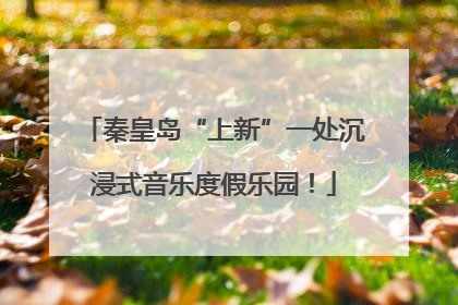 秦皇岛“上新”一处沉浸式音乐度假乐园！