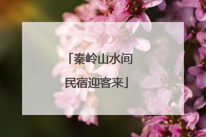 秦岭山水间 民宿迎客来