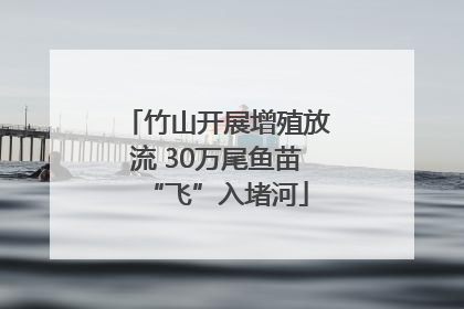 竹山开展增殖放流 30万尾鱼苗“飞”入堵河